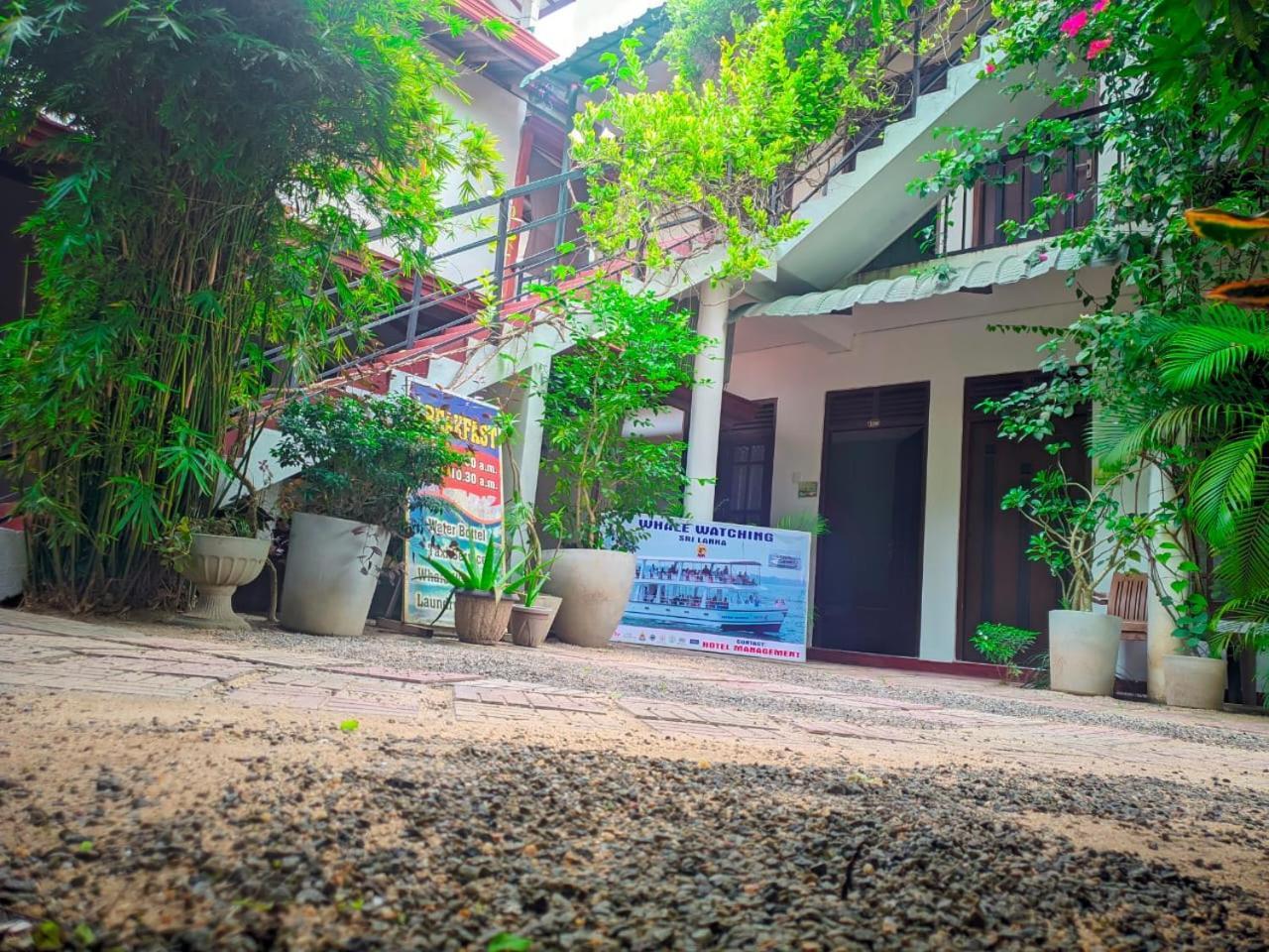 Mila Rest Garden Ξενοδοχείο Mirissa Δωμάτιο φωτογραφία